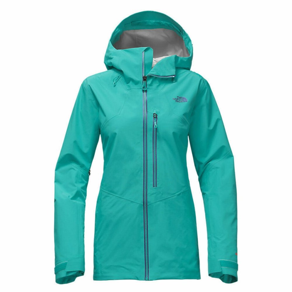 NWT North Face Free Thinker Ski Jacket
